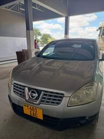 A picture of Nissan dualis
