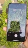 A picture of iPhone Xs Max