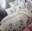 A picture of 6 6 Duvet sets