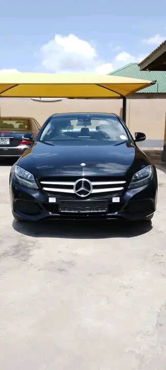 zed cars_under_20pin