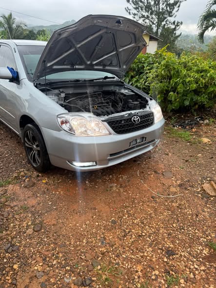 used toyota corolla