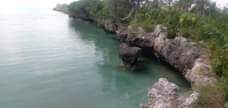 A picture of BEACH FROT LOCATION KIKUNGWI