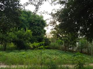 A picture of KIMBIA KODI UWAHI HIKI KIWANJA