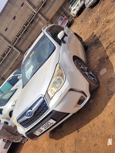 A picture of 2014 Subaru Forester