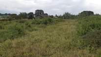 A picture of Plots