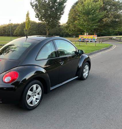 vw beetle