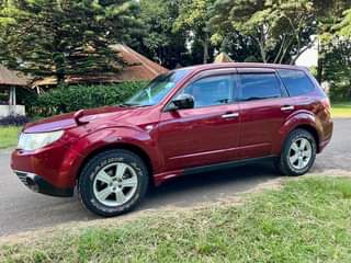 A picture of SUBARU FORESTER BEI M15.8