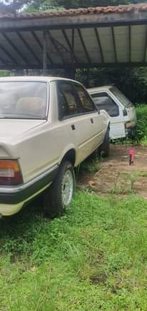 A picture of Peugeot sokoni