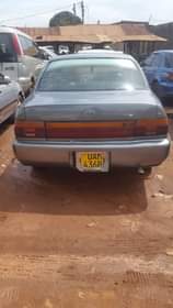 A picture of 1995 Japan Kikumi