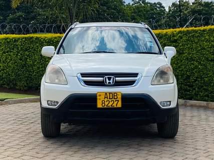 classifieds/cars honda