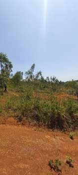 A picture of Nice plot in Mukono