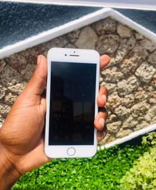 A picture of Iphone 7Plain Clean Sana 