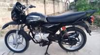 A picture of Boxer cc 150