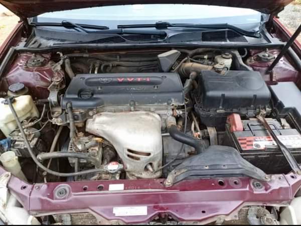 A picture of Camry 05 First Body Buy and Drive Nothing to Fix
