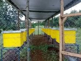 A picture of 33 000 Ugshs only get BEE KEEPING guide and information