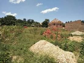 A picture of Jinja City Plots at Wakalenge very affordable price 0700125875