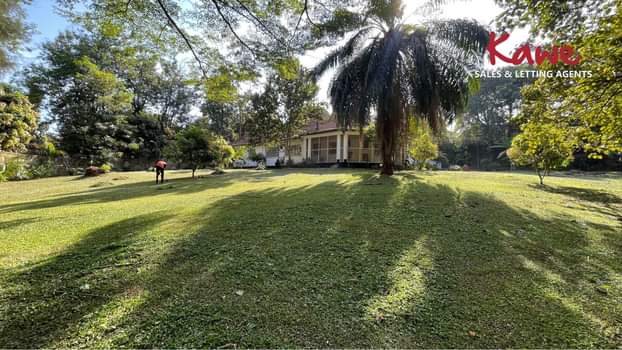 A picture of Land for Sale in Kololo Kampala