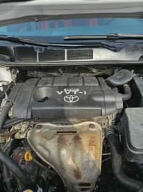 A picture of Venza 2011