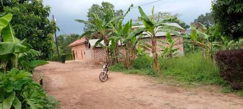 Gavamukulya T.