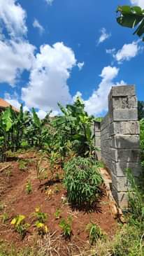 A picture of Plot for sale in kitede 0754621638