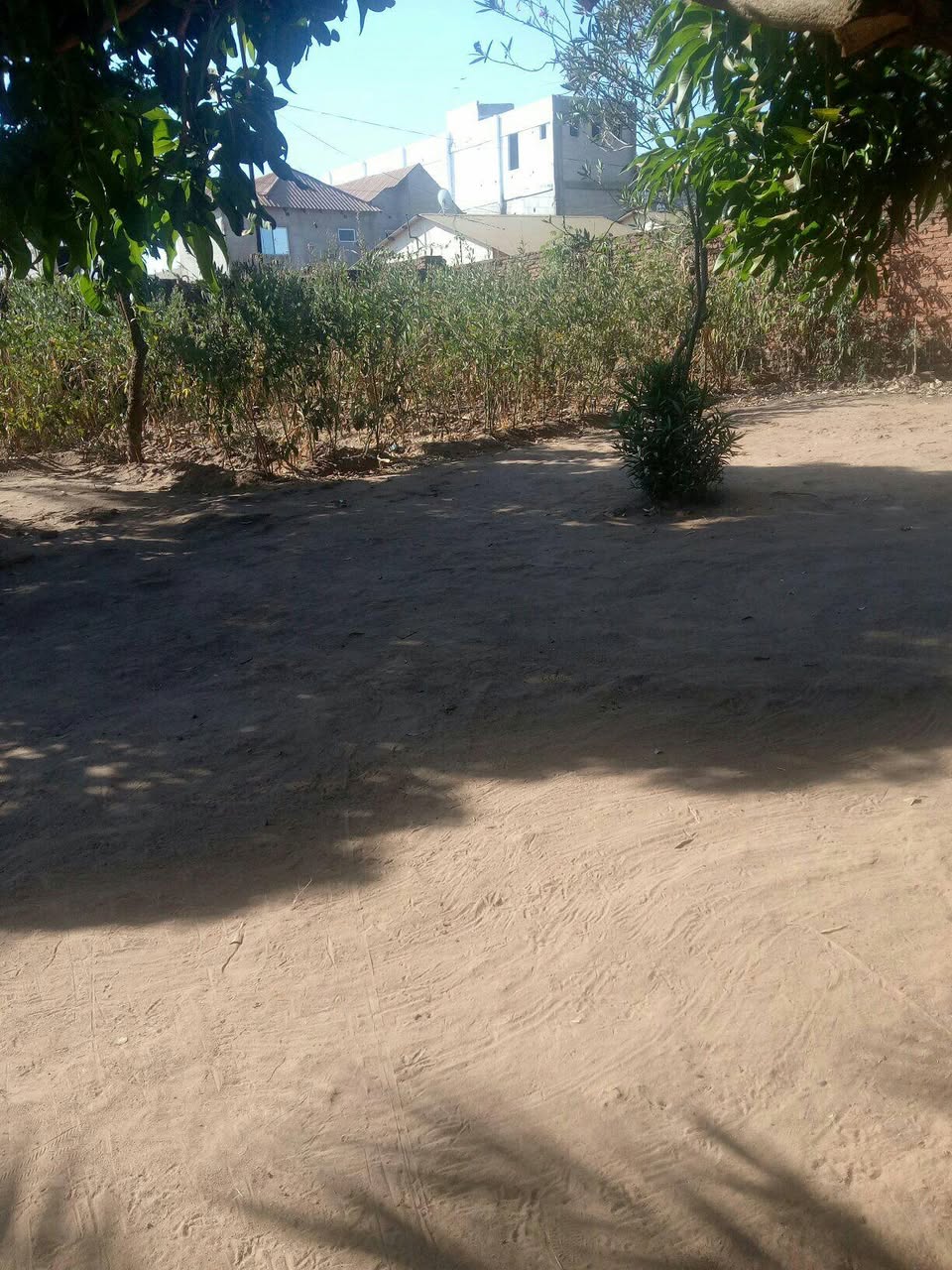 land