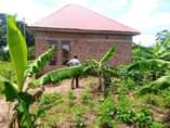 A picture of Good deal on quick sale House on sale located matugga