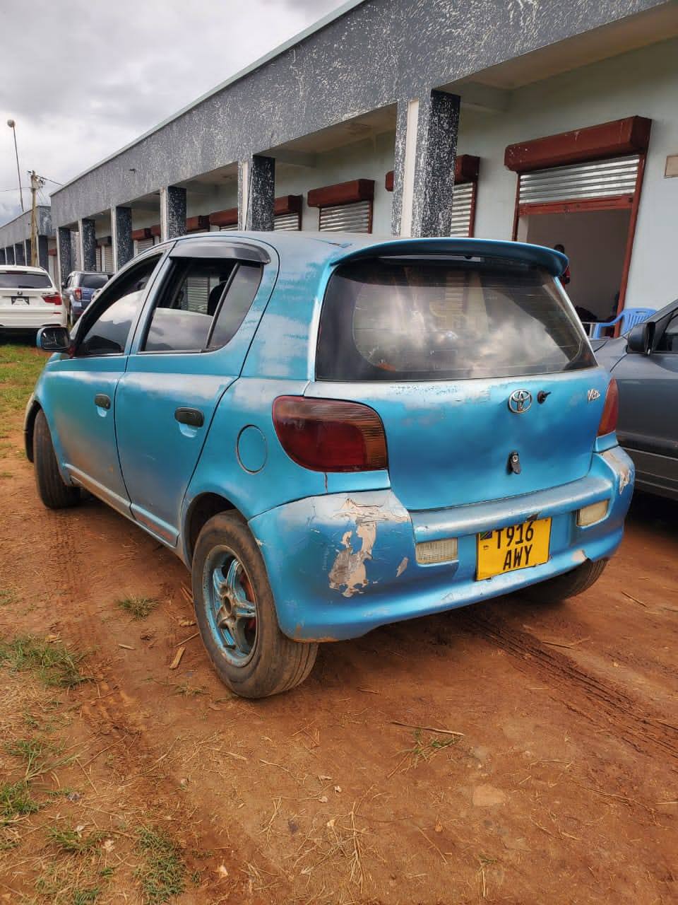 A picture of Vitz