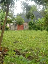 A picture of KIWANJA USA RIVER