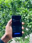 A picture of SAMSUNG A10