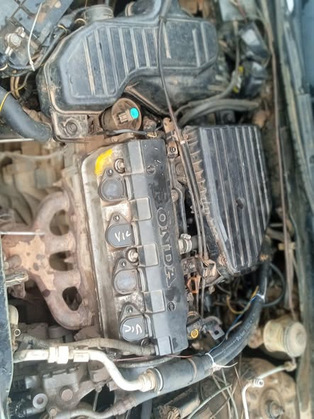 A picture of 2003 Honda civic