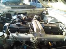 A picture of Had top