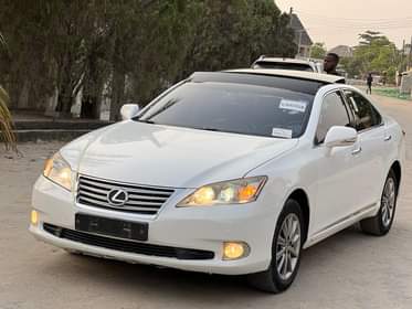 A picture of Only White Bird in NIGERIA Just one lucky Buyer 11
