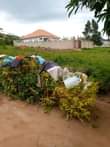 A picture of Busukuma gayaza house