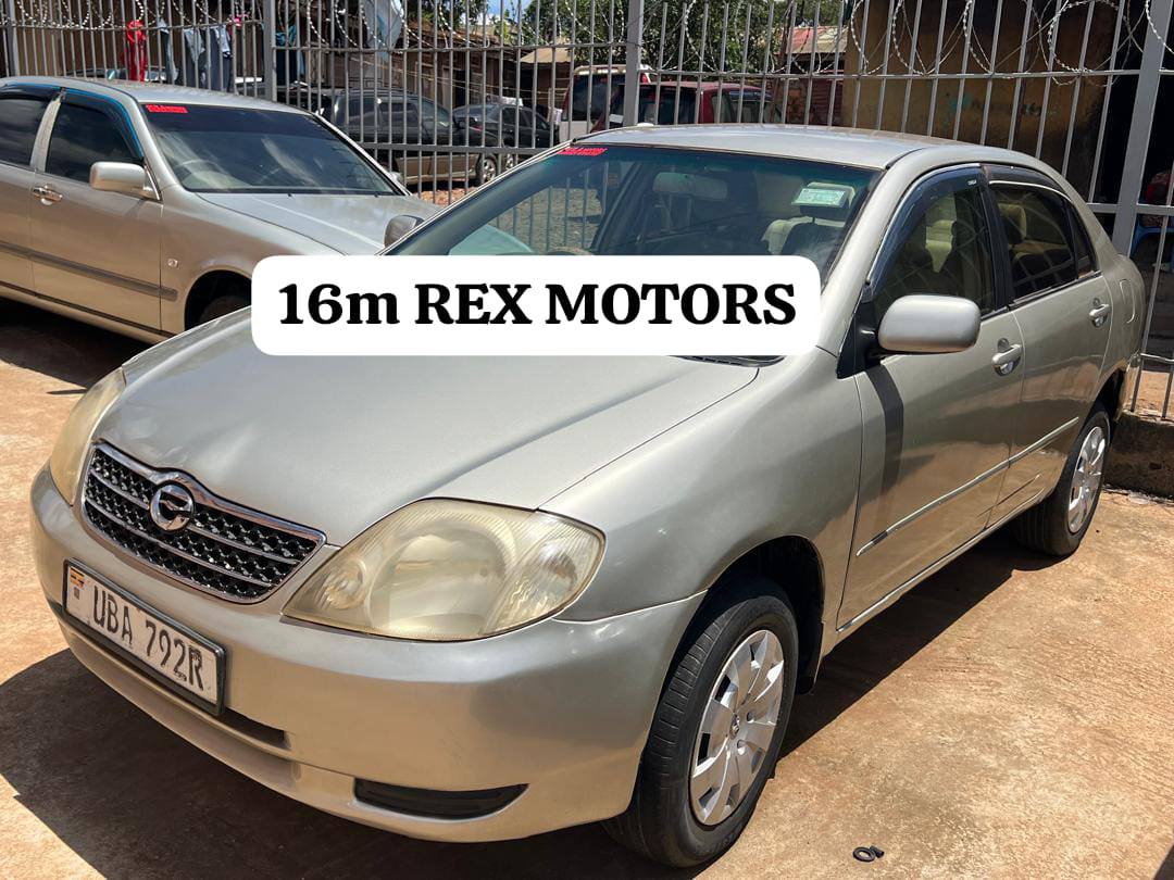 A picture of Rex motors