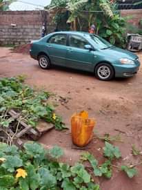 A picture of Toyota Corolla 07