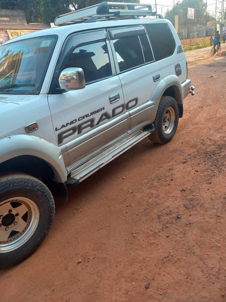 A picture of Tx prado