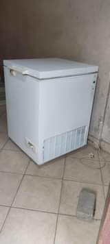 A picture of Frizer linagandisha