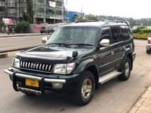 A picture of prado kalii sana ml 16