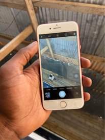 A picture of iPhone 7plain