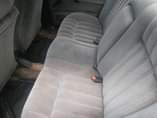 A picture of Jetta