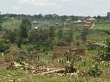 A picture of Busubuzi price Hot deal 3plots size 100by50ft with land title