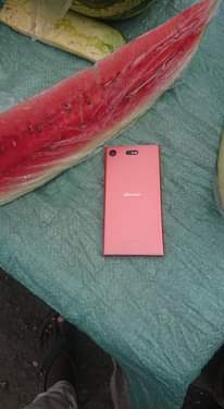 A picture of Sony xperia XZ1 compact 0749633114