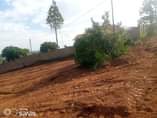 A picture of Plots for sale in Namugongo Sonde hill view estate each