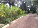 A picture of GOSHEN REAL ESTATE most trusted in Uganda