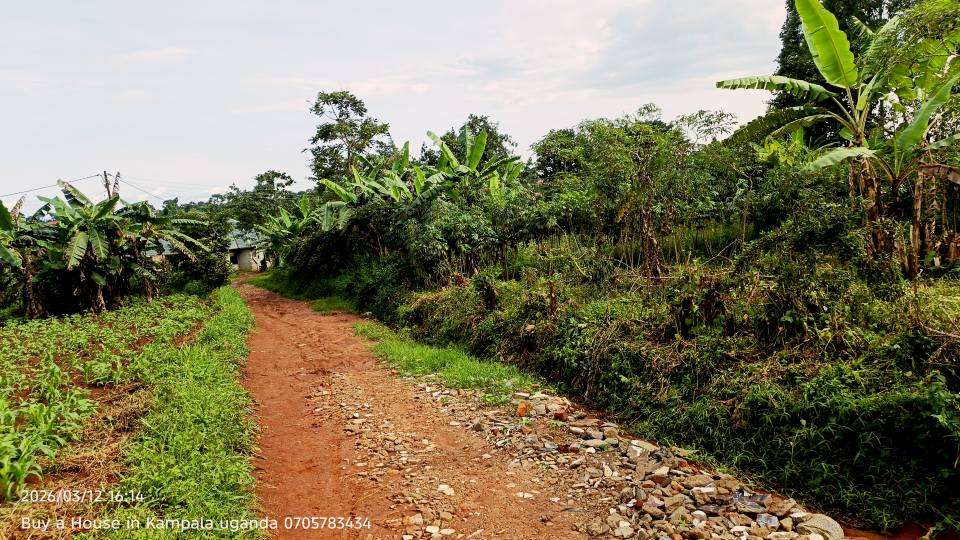 A picture of Namugongo Sonde kiwango estate 3plots on 11decimals on sale at