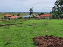 A picture of Plots for sale 50 100 at 50million