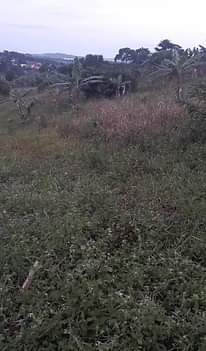 A picture of Quick sale Land 100ft by 100ft Price 30millions