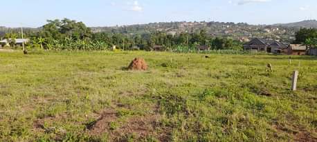 A picture of Cheap plots