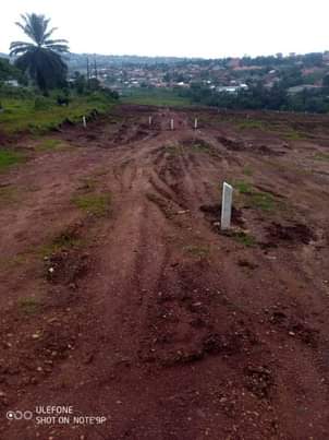 A picture of 2024 vamubupangisa ngo sasula mu kibanjampola plot zona tuziyina ezebyapa