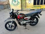 A picture of BoxerX150